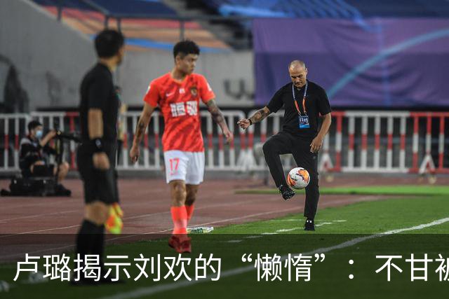 卢璐揭示刘欢的“懒惰”：不甘被名利束缚